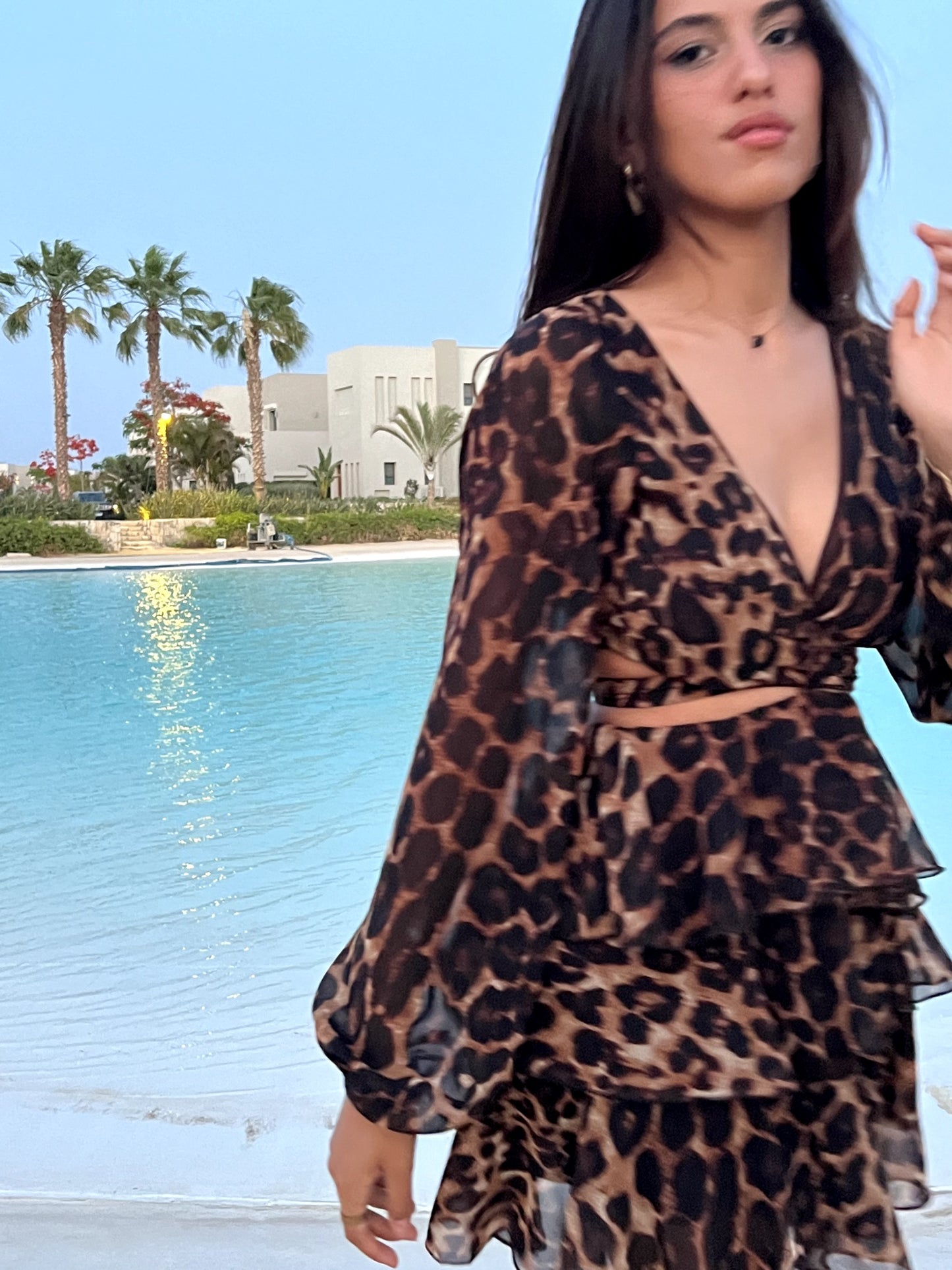The Eva Dress In Leopard