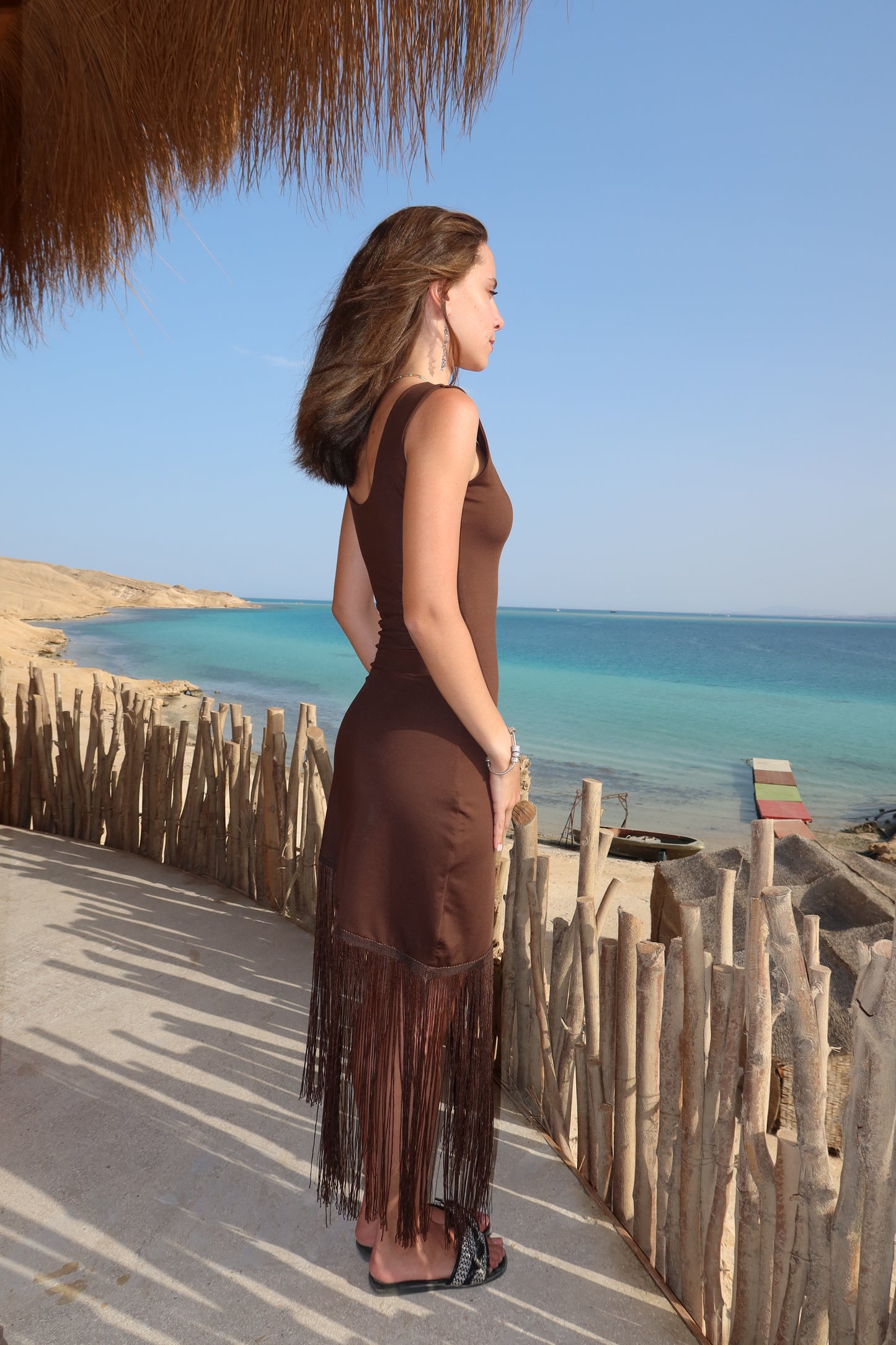 The Paloma Dress In Brown